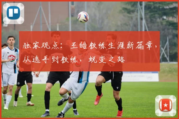 独家观点:王皓教练生涯新篇章,从选手到教练,蜕变之路